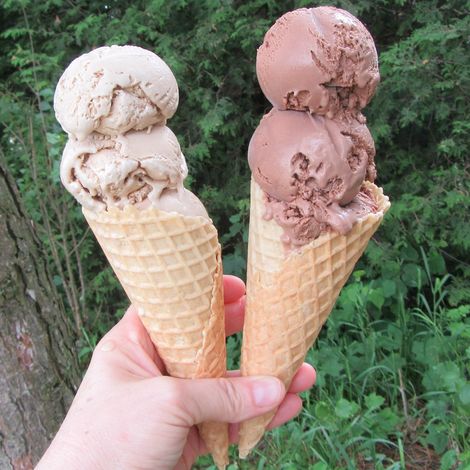 Mapleton's Organic Dairy