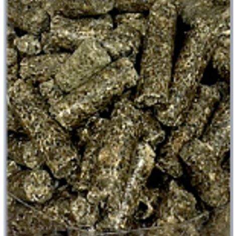 Floarea Soarelui S.A.