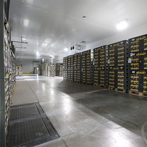 Each fruit stored in desired temperature for an average of 1 day in cold storage after processing is complete