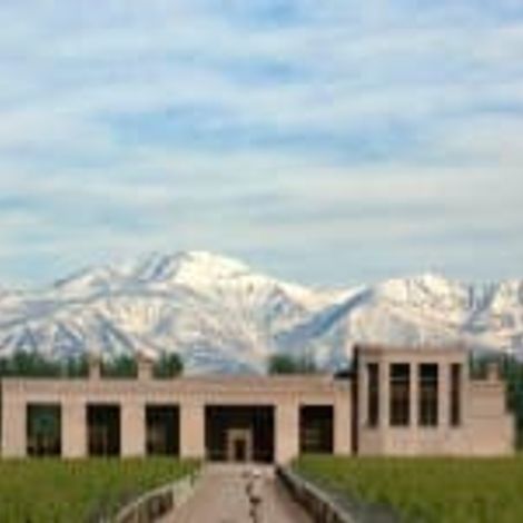 Belasco de Baquedano winery 5.jpg