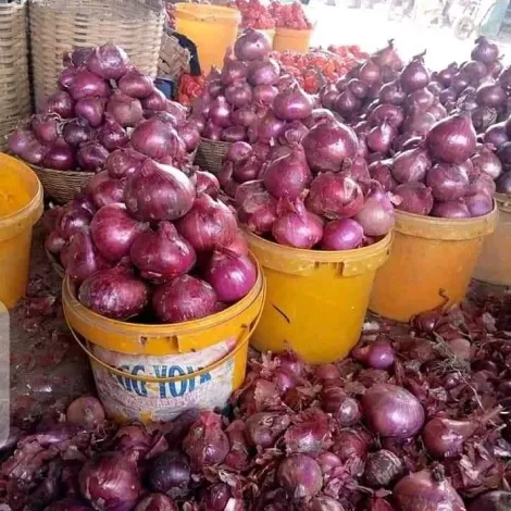Onions