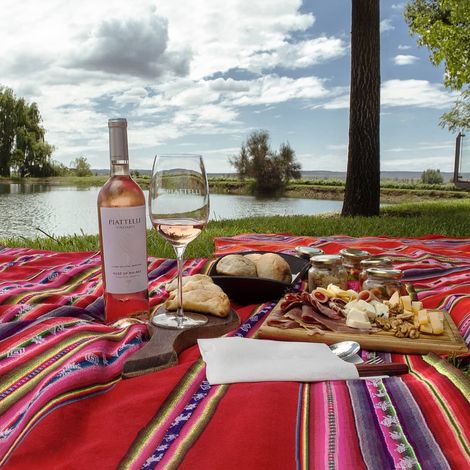 Piattelli Vineyards's Rose wine