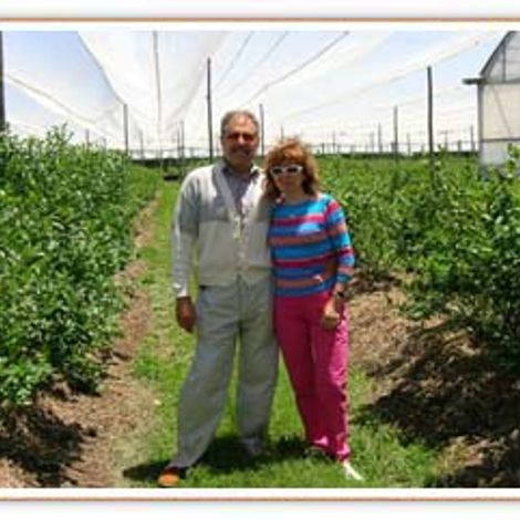 Etampo S.A. Blueberries