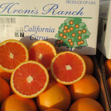 Hronis_CaraCara_Flesh