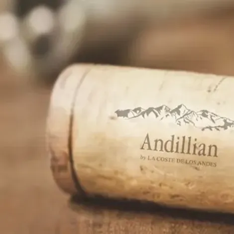 La Coste de Los Andes