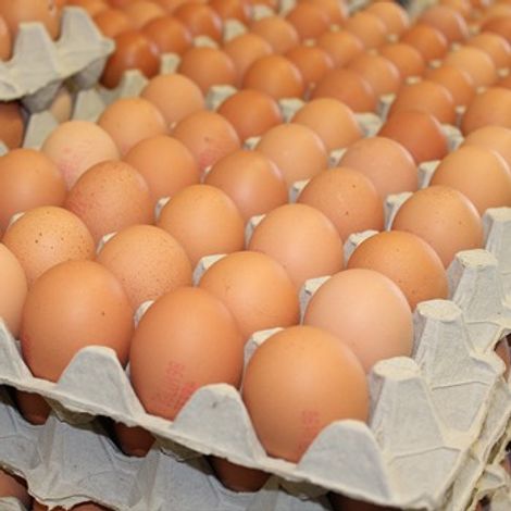 E.M. Discount - Product