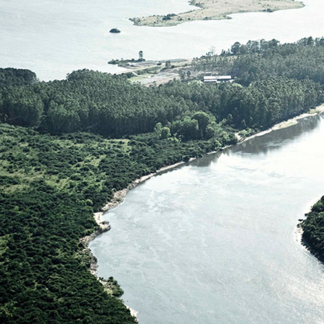 Esturiones del Rio Negro S.A.