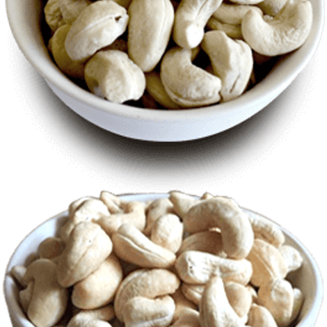 cashew-exporters2.png