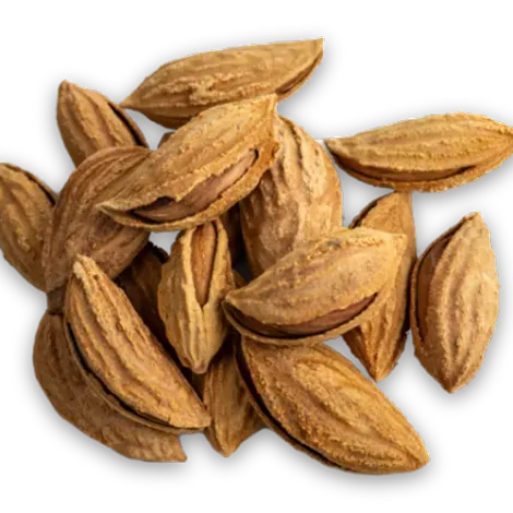 Monte Vista Farming Company