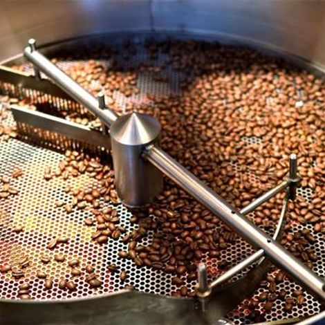 Nguyen Huy Hung Coffee One Member Co., Ltd - Coffee Beans