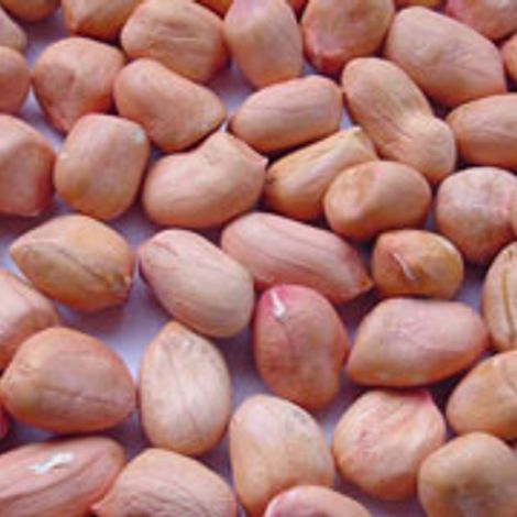 ASIAN FOODS INDUSTRIES