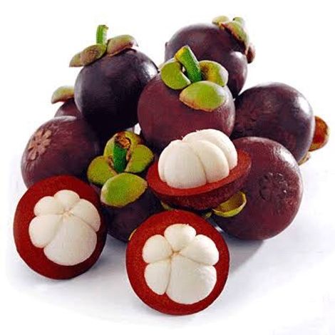 Mangosteen