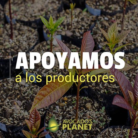 APOYO APC