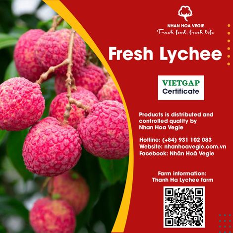 Fresh Lychee Vietnam