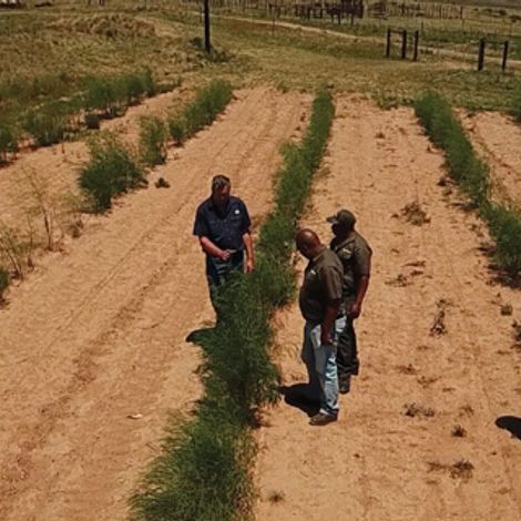 Denbi Farms