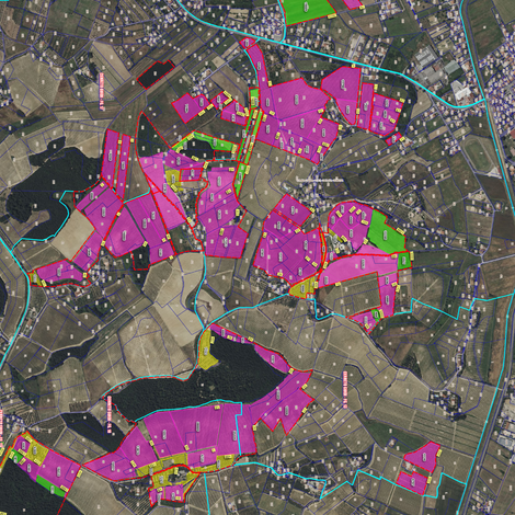 Casalvento's cadastral map to identify its owned vineyards in Tuscany's hills, marked in purple (4)