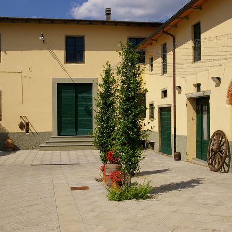 The yard of our old farm house