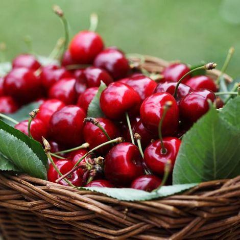 Cherries