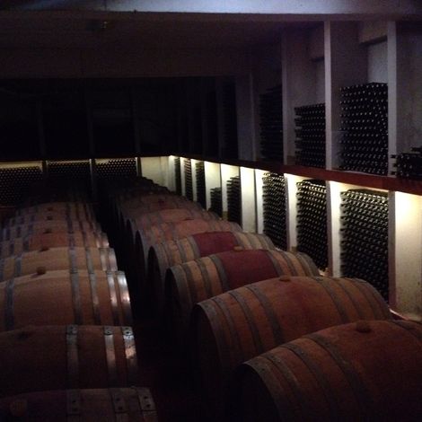 MMG Şarapçılık(vineyard)_Wine_Storage