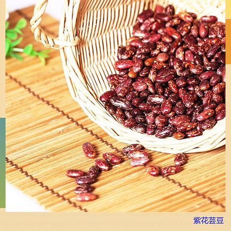 Dalian Xinyi Organics Co.,Ltd.