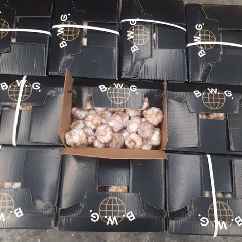 Berpadi World Garlic