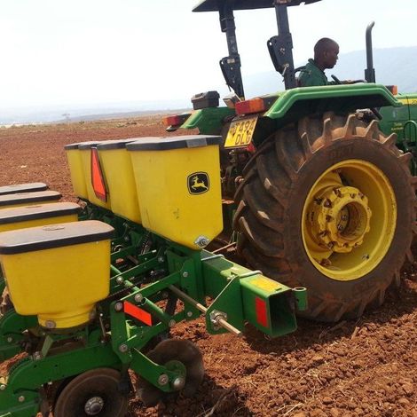 Crop Bioscience Solutions Ltd - Sweet Potato Farm