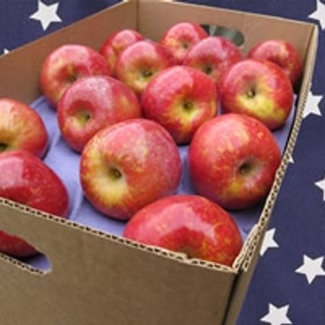 washington apple