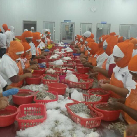 El Oro Shrimp Inc - Facility