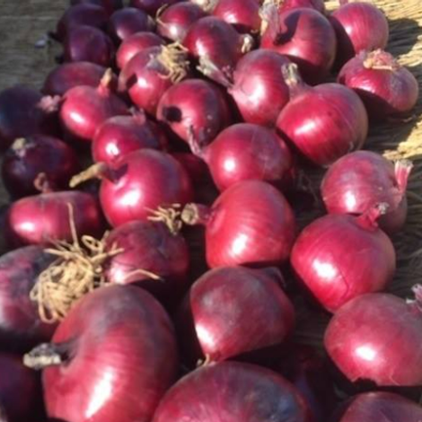 red onions