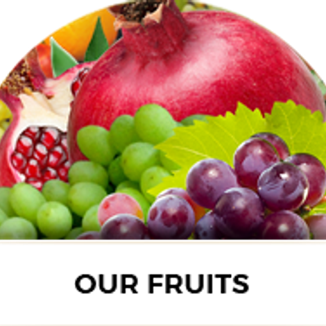 Farm Fresh Exports