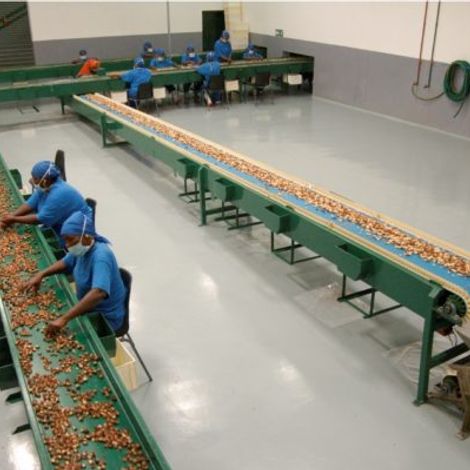 Production