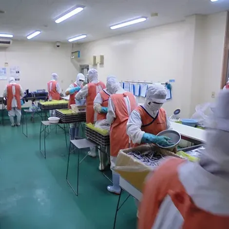 Production