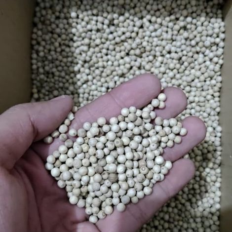 White Pepper