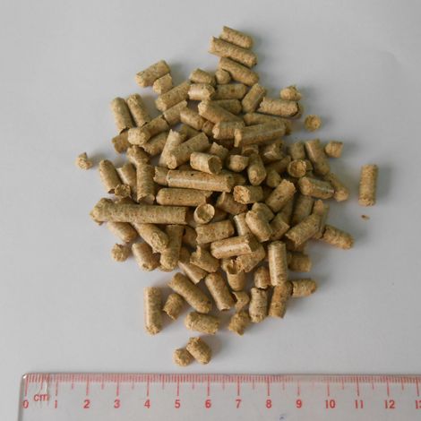 KIM NGHIA CO., LTD.