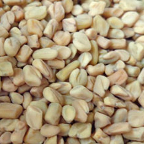 fenugreek.jpg