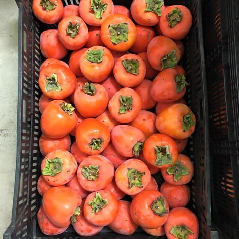 Inzana Ranch and Produce farms - Products