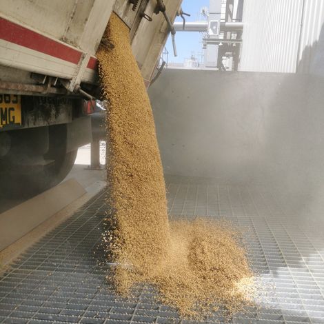 Bairds Malt Limited