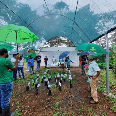 Coopepiña R.L. Costa Rica