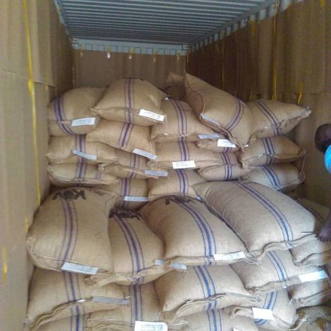 Packed cocoa