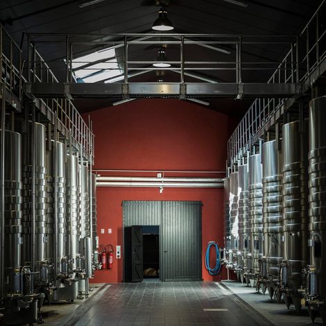 Château Sénéjac_Wine_Process