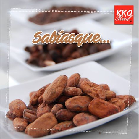 Processor Cacao Real, C.A.