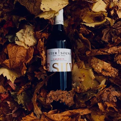Hello harvest 🍷🍇