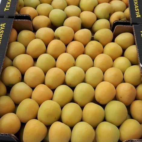 Tekasya Agricultural Products - Products