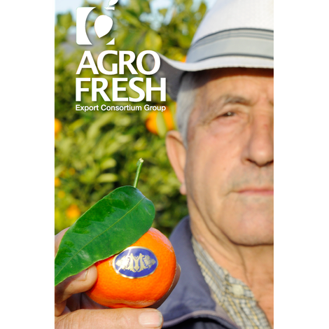 agrofresh-export-consortium-s-l.png