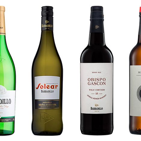 Discover our wines