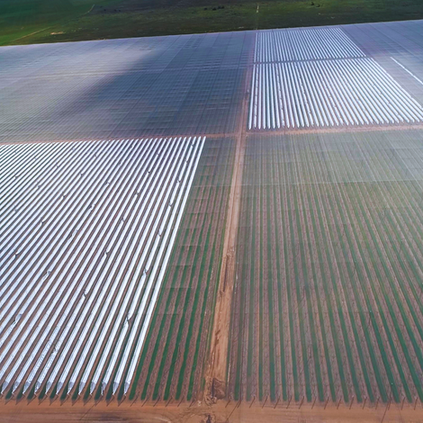 Grape Co Australia Pty Ltd - Meridian Farms - Aerial View