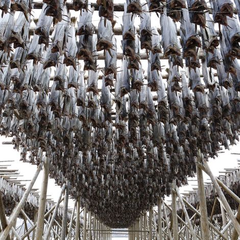 Traditional Dry Stockfish