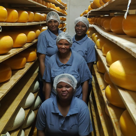 De Pekelaar Boerenkaas