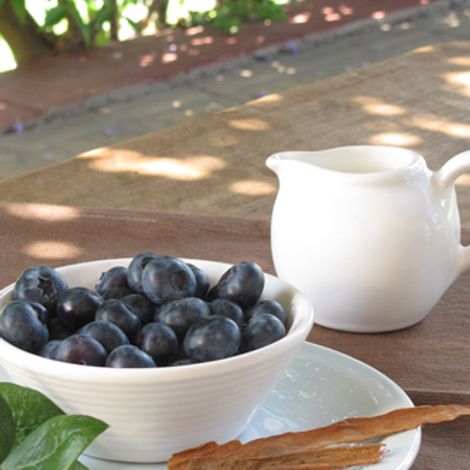 Blueberries S.A