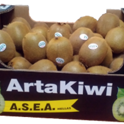 A.S.E.A ARGICULTURAL COOPERATION OF KIWI EXPLOITATION